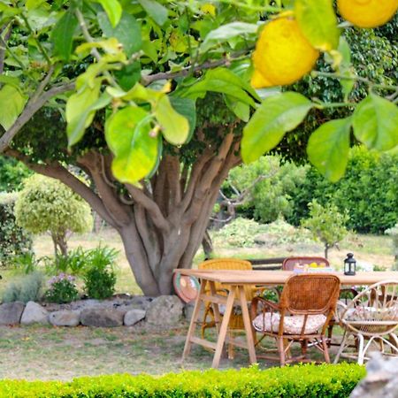 La Casa Di Lina - Capo D'Orlando, Casa Con Ampio Giardino Βίλα Εξωτερικό φωτογραφία