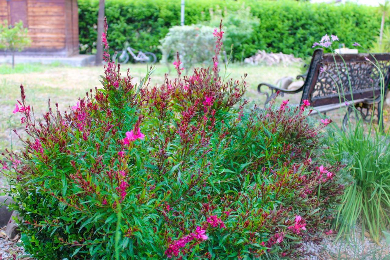 La Casa Di Lina - Capo D'Orlando, Casa Con Ampio Giardino Βίλα Εξωτερικό φωτογραφία