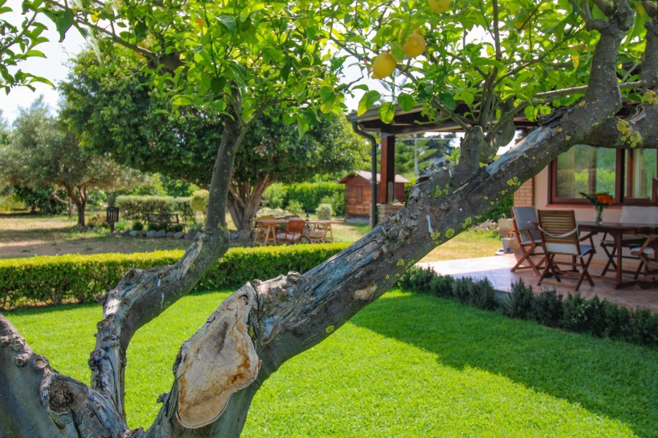 La Casa Di Lina - Capo D'Orlando, Casa Con Ampio Giardino Βίλα Εξωτερικό φωτογραφία
